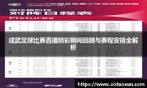 成武足球比赛直播精彩瞬间回顾与赛程安排全解析