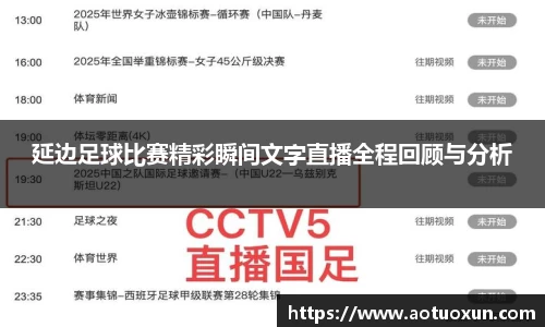 延边足球比赛精彩瞬间文字直播全程回顾与分析