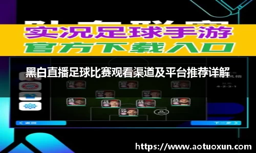 黑白直播足球比赛观看渠道及平台推荐详解