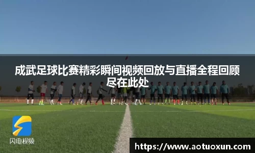 成武足球比赛精彩瞬间视频回放与直播全程回顾尽在此处